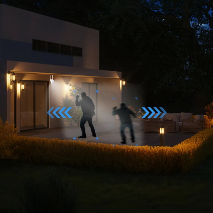 Set 2 x Camera video Jortan Yoosee JT-8161 + CARD CADOU